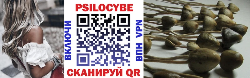 цена   Сосновый Бор  Псилоцибиновые грибы прущие грибы 